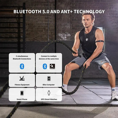 Heart Rate and Calorie Monitor
